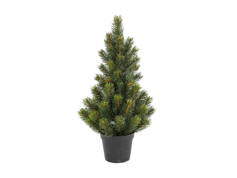 Botanic-Haus Weihnachtsbaum Tannenbaum im Topf, 51 cm, Höhe: 51 cm, Beleuchtung: Nein, Aussenanwendung: Nein, Detailfarbe: Grün