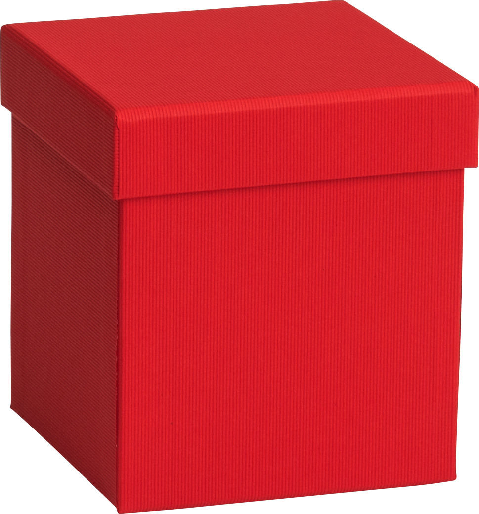 STEWO Geschenkbox One Colour 2551784390 rot 11x11x12cm