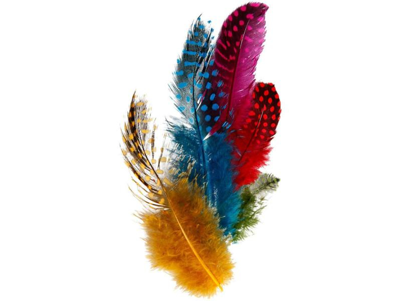 Creativ Company Federn Perlhuhn Mehrfarbig, Packungsgrösse: 100 Stück, Farbe: Mehrfarbig