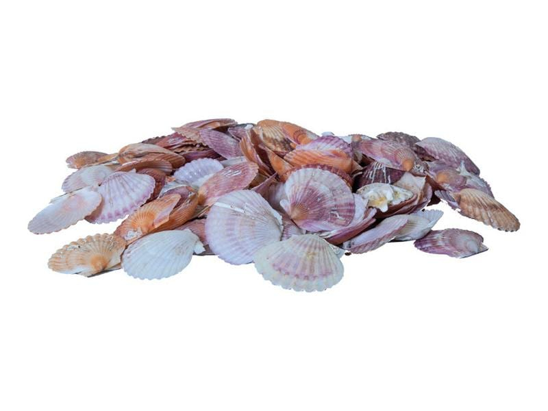 Dekomat AG Muscheln, 300 gr Pink/Weiss, Füllmenge: 0 ml, Material: Muschel, Detailfarbe: Pink, Weiss