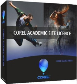 ACADEMIC SITE LICENSE STD LEVEL 1 / ONE YEAR               IN  WIN-32