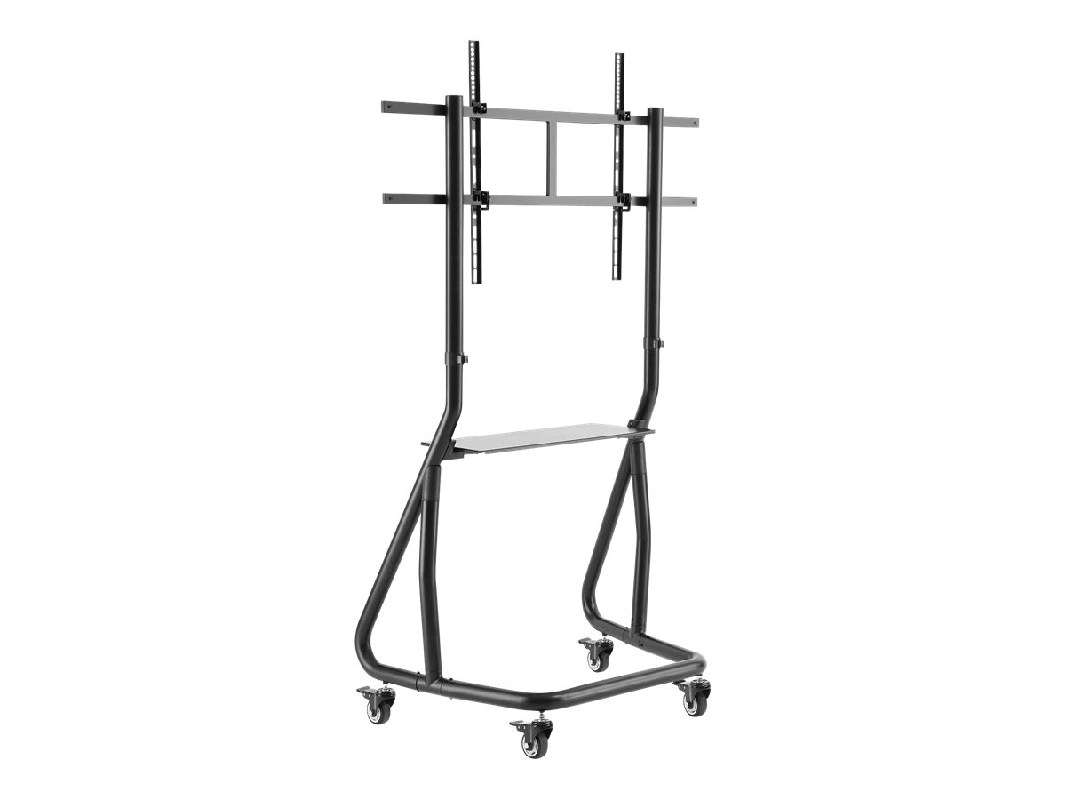 NewStar Mobile Flat Screen Floor Stand (stand+trolley) (height: 152-169 cm)