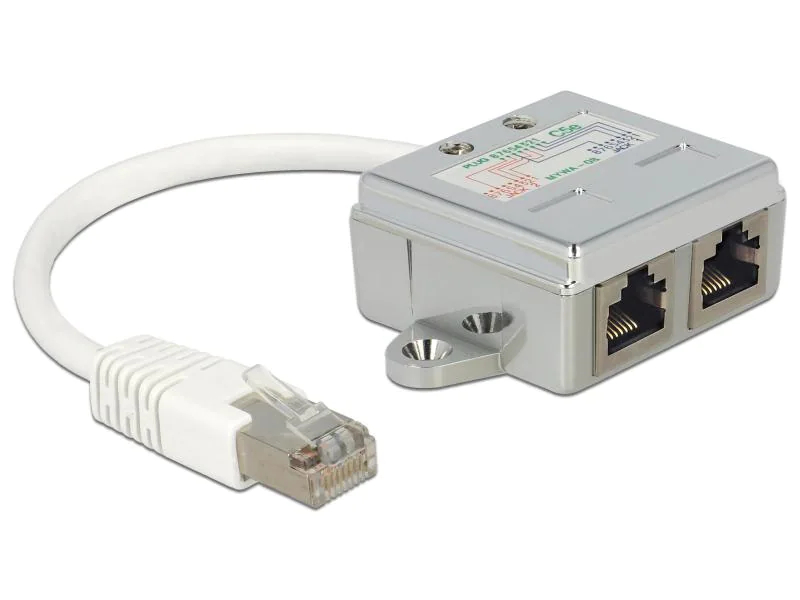 Delock Anschlussverdoppler 2x 100Mbps LAN 1 Stück, Zubehörtyp: Anschlussverdoppler, Verpackungseinheit: 1 Stück