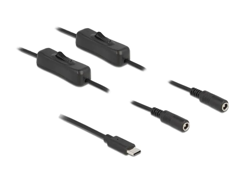 Delock Hohlstecker Kabel USB Type-C zu 2 x DC mit Schalter 1 m, Innendurchmesser: 2.1 mm, Aussendurchmesser: 5.5 mm